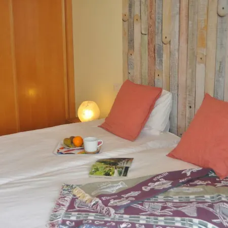 Apartment El Medano El Medano (Tenerife)